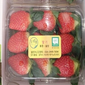 [1~2월 한정] 두타롱 딸기 500g/ 1kg(삼척산 딸기, GAP인증)